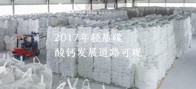 2017年輕質(zhì)碳酸鈣發(fā)展道路可觀